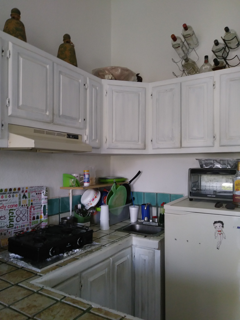 A small kitchen with white cabinets, a small fridge, and a counter-top stove next to a bin of clean dishes.
