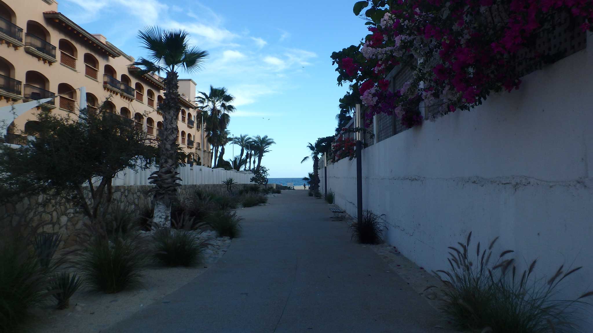 A deserted and paved walkway between a concrete wall and the side of a resort is lined with greenery, pink flowers, and leads to the ocean.